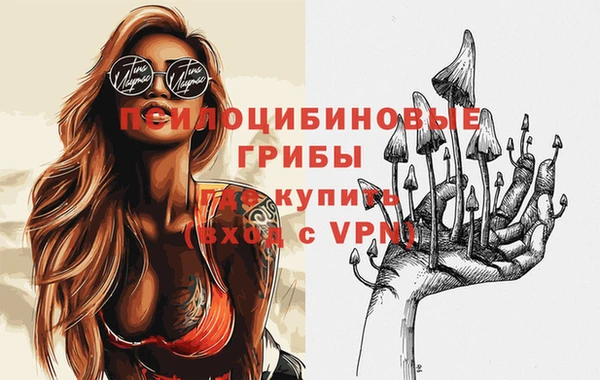 дмт Абаза