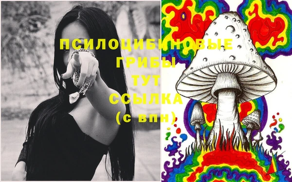 индика Абдулино