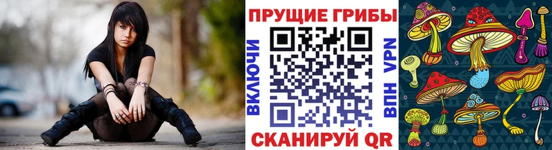 закладка  Абаза  Псилоцибиновые грибы мухоморы 